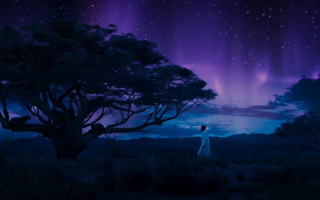 The savannah of the afterlife in Black Panther