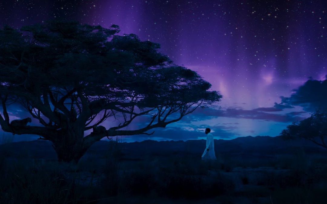 2019 Oscars: All The Academy Award Nominations