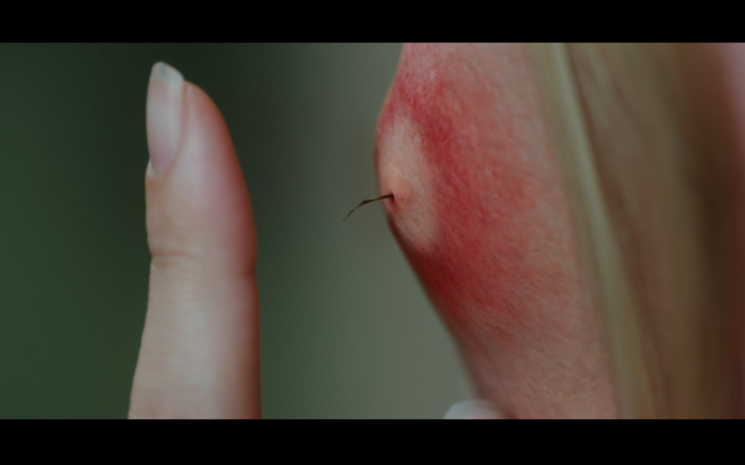 Scary Stories To Tell In The Dark – Super Bowl TV Spots