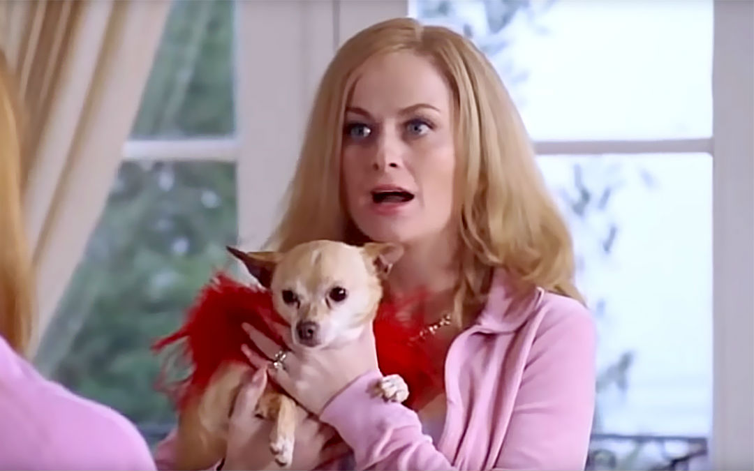 7 Great Comedies You Should See After Watching Amy Poehler’s ‘Wine Country’
