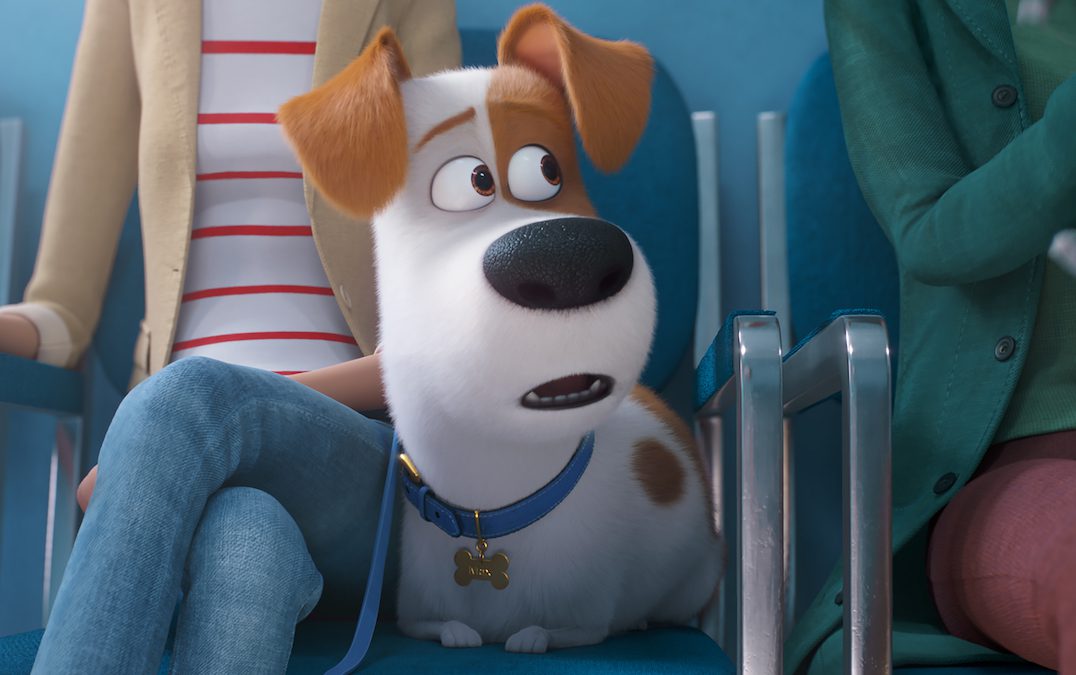 Box Office Insider: ‘Secret Life Of Pets 2’ Flies Right Over ‘Dark Phoenix’