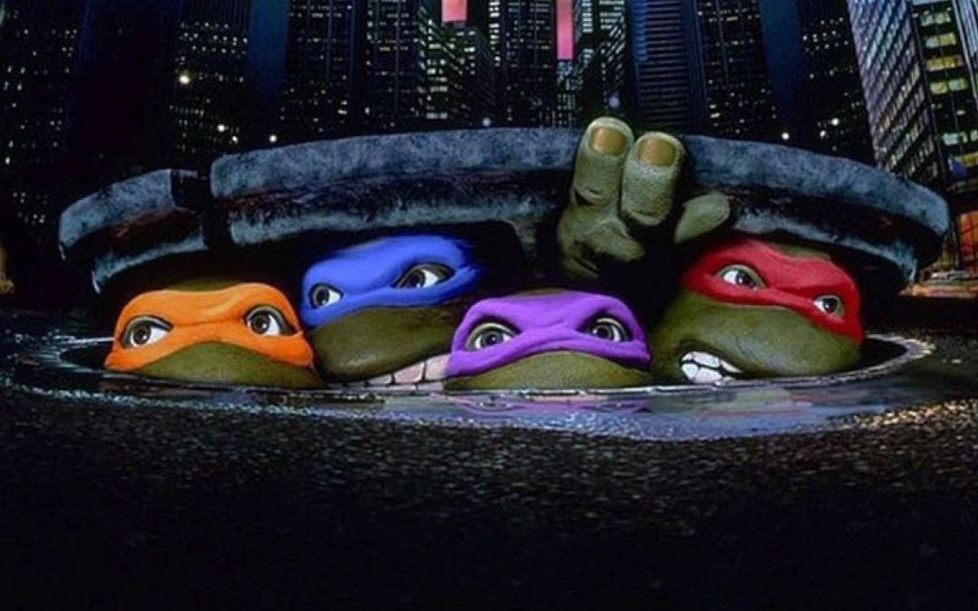 An Animated Teenage Mutant Ninja Turtles Movie Is On The Way From Seth Rogen