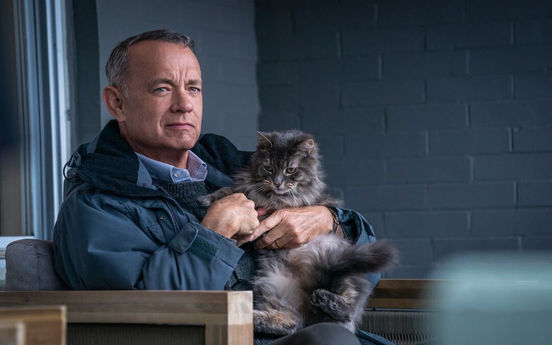 Our Favorite Tom Hanks Movie Quotes to Live By