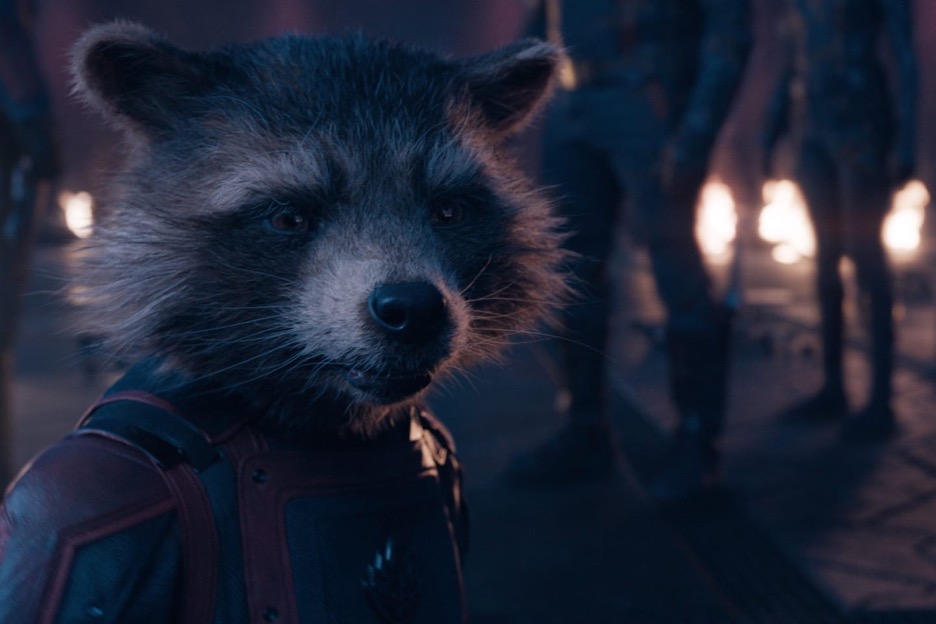 A raccoon in a jacket

Description automatically generated with medium confidence