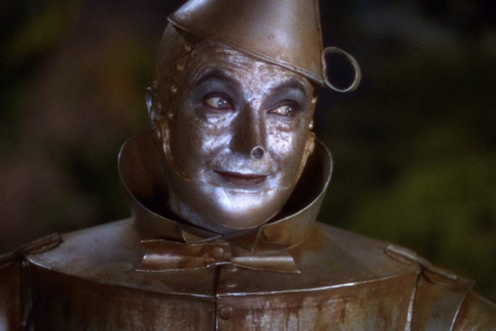 A person in a tin person garment

Description automatically generated